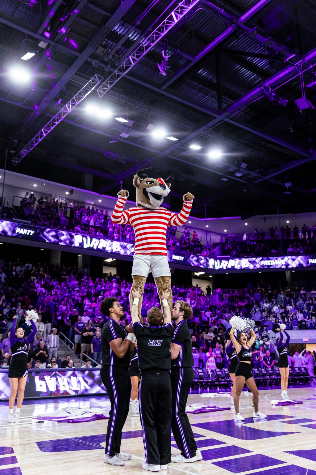 Gcu Wolves Inside the return of GCU's college basketball party - GCU News
