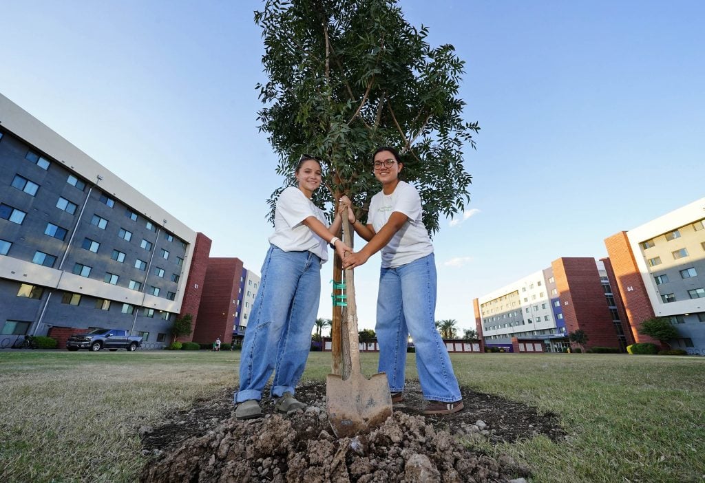 Featured image for: GCU student body cultivates steps toward tree campus designation