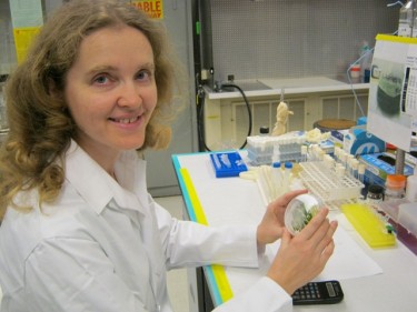 Dr. Galyna Kufryk holds cyanobacteria at a Phoenix-area lab. The hydrogen-producing microorganisms could be key in renewable energy research. (Photo courtesy of Galyna Kufryk)