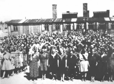 Magda and other prisoners of Auschwitz-Birkenau assemble for roll call. (Courtesy of Magda Herzberger)