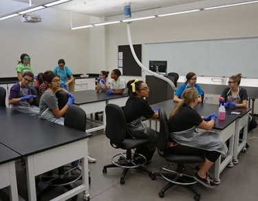 MET students are the first in GCU's STEM Scholars to study in the University's cadaver lab. 