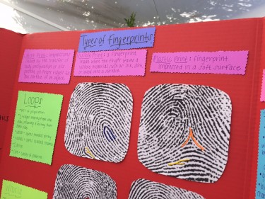 Fingerprint characteristics were on display.