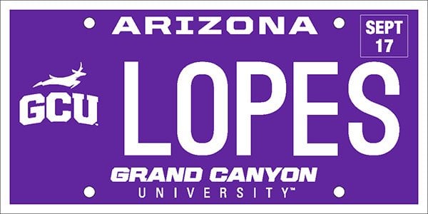 New license plate will let help paint the roadways purple.