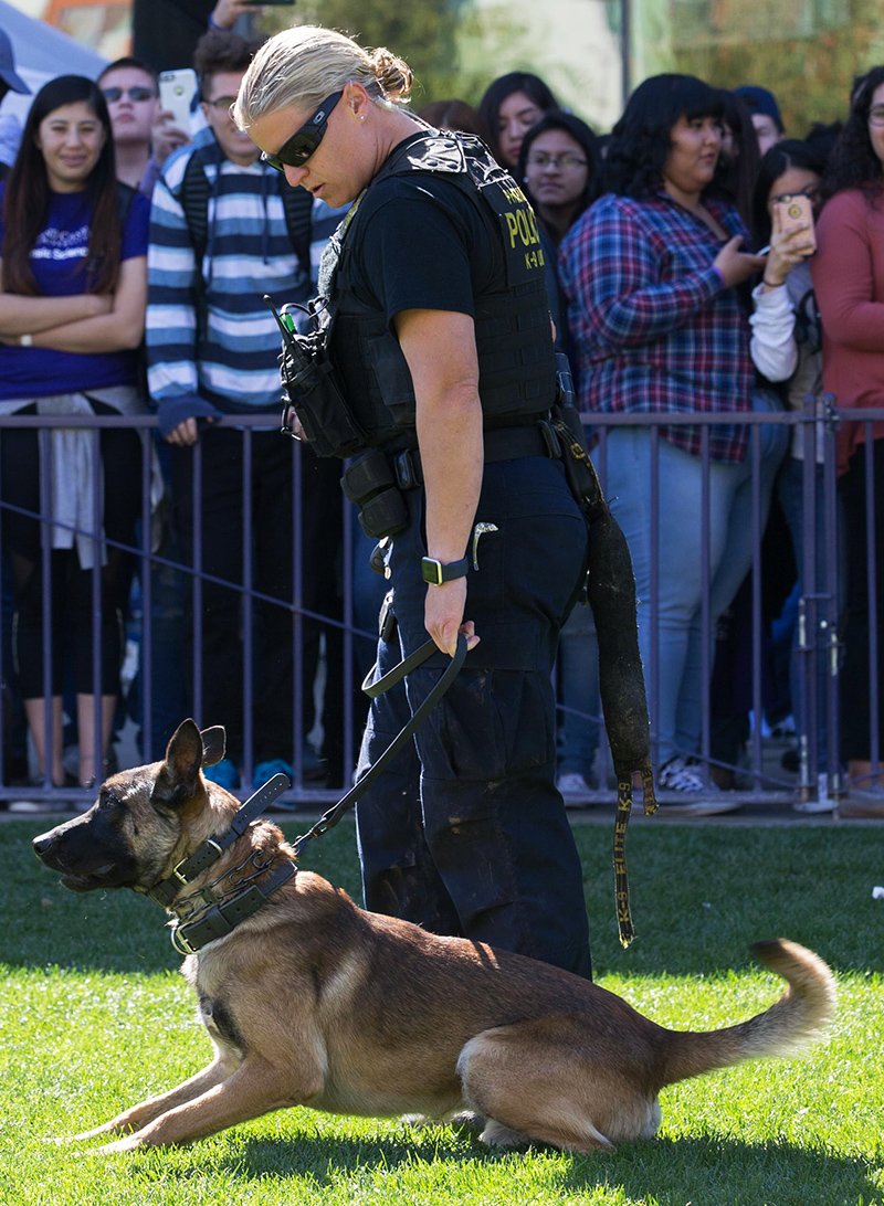 Evidence shows Forensic Science Day again is a hit - GCU Today